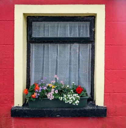 Picture of WINDOW GREETS VISITORS IN THE VILLAGE OF CONG-CONNACHT COUNTY-IRELAND.