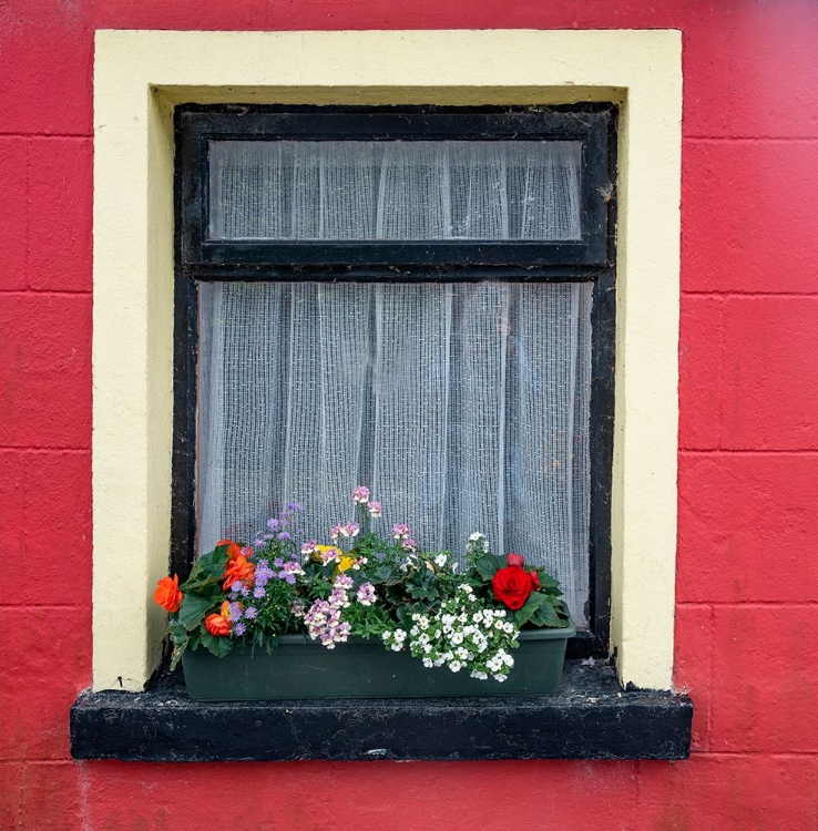 Picture of WINDOW GREETS VISITORS IN THE VILLAGE OF CONG-CONNACHT COUNTY-IRELAND.