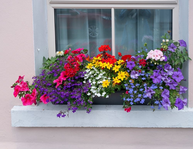 Picture of WINDOW GREETS VISITORS IN THE VILLAGE OF CONG-CONNACHT COUNTY-IRELAND.