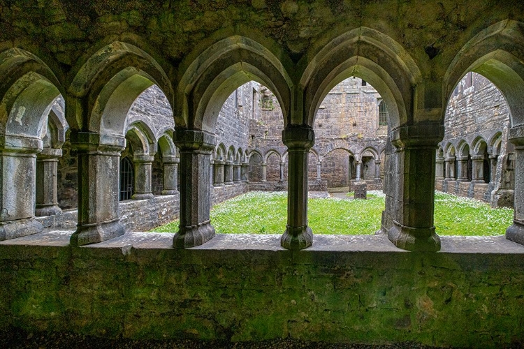 Picture of ANCIENT CLOISTERS SURROUND THIS PATCH OF GRASS AT MOYNE ABBEY-COUNTY MAYO-IRELAND.