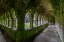 Picture of ANCIENT CLOISTERS AT MOYNE ABBEY-COUNTY MAYO-IRELAND.