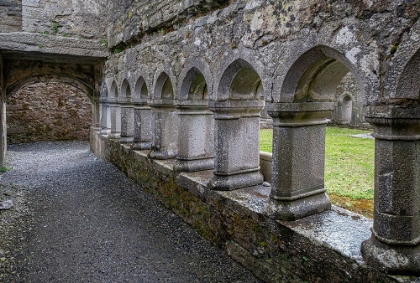 Picture of CLOISTER AT ROSS FRIARY IN IRELAND.