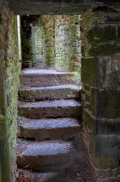 Picture of ROSS ERRILY FRIARY. LOCATED IN COUNTY CLARE-IRELAND.