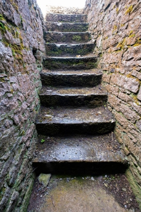 Picture of ROSS ERRILY FRIARY. LOCATED IN COUNTY CLARE-IRELAND.