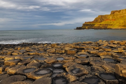 Picture of BASALT AT THE GIANTS CAUSEWAY NEAR IN COUNTY ANTRIM-NORTHERN IRELAND