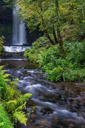 Picture of GLENCAR WATERFALL IN COUNTY LEITRIM-IRELAND