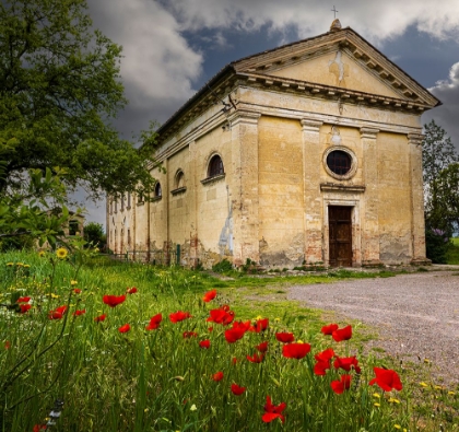 Picture of ANCIENT CHURCH RUIN SURROUNDED BY BRIGHT REED POPPIES. MONTALCINO. TUSCANY-ITALY.