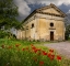 Picture of ANCIENT CHURCH RUIN SURROUNDED BY BRIGHT REED POPPIES. MONTALCINO. TUSCANY-ITALY.