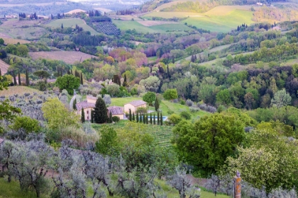 Picture of LANDSCAPE VIEW FROM THE TOP OF THE WALLS OF SAN GIMIGNANO. TUSCANY-ITALY.