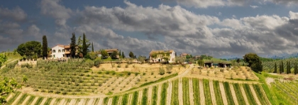 Picture of TUSCAN LANDSCAPE UNDER THUNDER CLOUDS. FARMHOUSE WITH VINEYARD. TUSCANY-ITALY.