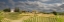 Picture of TUSCAN LANDSCAPE UNDER THUNDER CLOUDS. FARMHOUSE WITH VINEYARD. TUSCANY-ITALY.