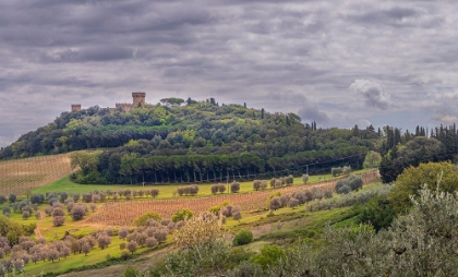 Picture of TUSCAN LANDSCAPE UNDER DARK SKIES-TUSCANY-ITALY.