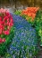 Picture of NETHERLANDS-LISSE. FLOWER DISPLAYS AT KEUKENHOF GARDENS.