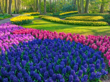 Picture of NETHERLANDS-LISSE. FLOWER DISPLAYS AT KEUKENHOF GARDENS.