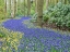 Picture of NETHERLANDS-LISSE. FLOWER DISPLAYS AT KEUKENHOF GARDENS.