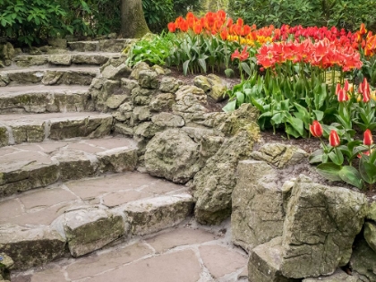 Picture of NETHERLANDS-LISSE. FLOWER DISPLAYS AT KEUKENHOF GARDENS.