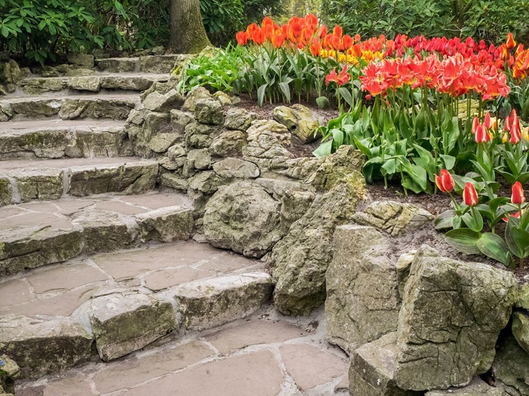 Picture of NETHERLANDS-LISSE. FLOWER DISPLAYS AT KEUKENHOF GARDENS.