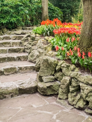 Picture of NETHERLANDS-LISSE. FLOWER DISPLAYS AT KEUKENHOF GARDENS.