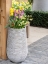 Picture of NETHERLANDS-LISSE. TALL FLOWER POT WITH YELLOW TULIPS AND NARCISSUS.