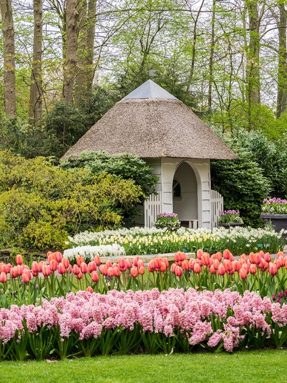 Picture of NETHERLANDS-LISSE. FLOWER DISPLAYS AT KEUKENHOF GARDENS.