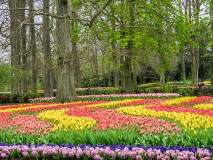 Picture of NETHERLANDS-LISSE. FLOWER DISPLAYS AT KEUKENHOF GARDENS.