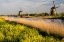 Picture of NETHERLAND-KINDERDIJK. WINDMILLS ALONG THE CANAL.