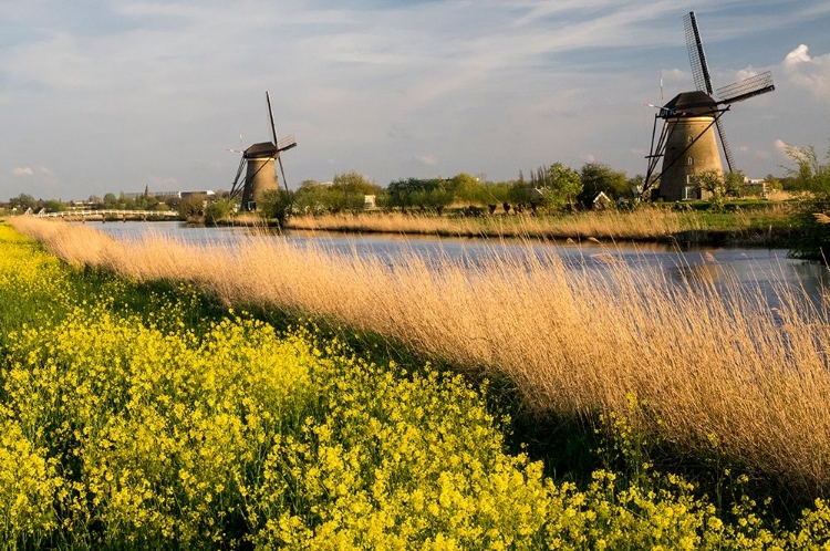 Picture of NETHERLAND-KINDERDIJK. WINDMILLS ALONG THE CANAL.