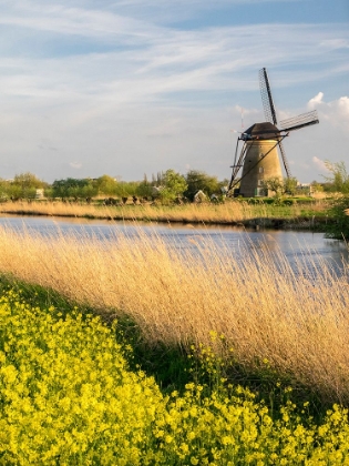 Picture of NETHERLAND-KINDERDIJK. WINDMILLS ALONG THE CANAL.