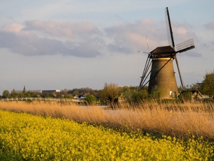 Picture of NETHERLAND-KINDERDIJK. WINDMILLS ALONG THE CANAL.