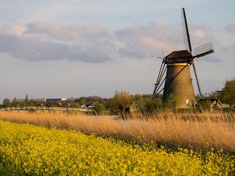 Picture of NETHERLAND-KINDERDIJK. WINDMILLS ALONG THE CANAL.