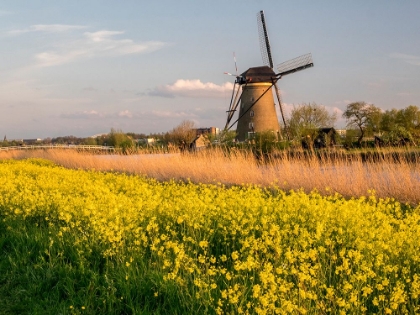 Picture of NETHERLAND-KINDERDIJK. WINDMILLS ALONG THE CANAL.