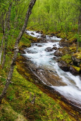 Picture of NORWAY-NORDLAND-TYSFJORD. STORELVA-THE RIVER THAT FLOWS FROM STETIND-NORWAYS NATIONAL MOUNTAIN