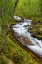Picture of NORWAY-NORDLAND-TYSFJORD. STORELVA-THE RIVER THAT FLOWS FROM STETIND-NORWAYS NATIONAL MOUNTAIN