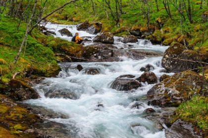 Picture of NORWAY-NORDLAND-TYSFJORD. WOMAN SITTING ALONG STORELVA-RIVER THAT FLOWS FROM STETIND MOUNTAIN