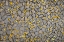 Picture of LISBON-PORTUGAL. YELLOW FLOWER PETALS ON THE GROUND.