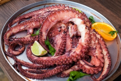 Picture of LISBON-PORTUGAL. TRADITIONAL GRILLED OCTOPUS