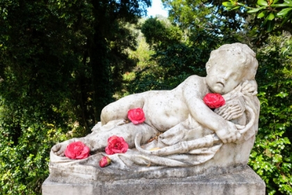 Picture of SINTRA-PORTUGAL. MONSERRATE PALACE