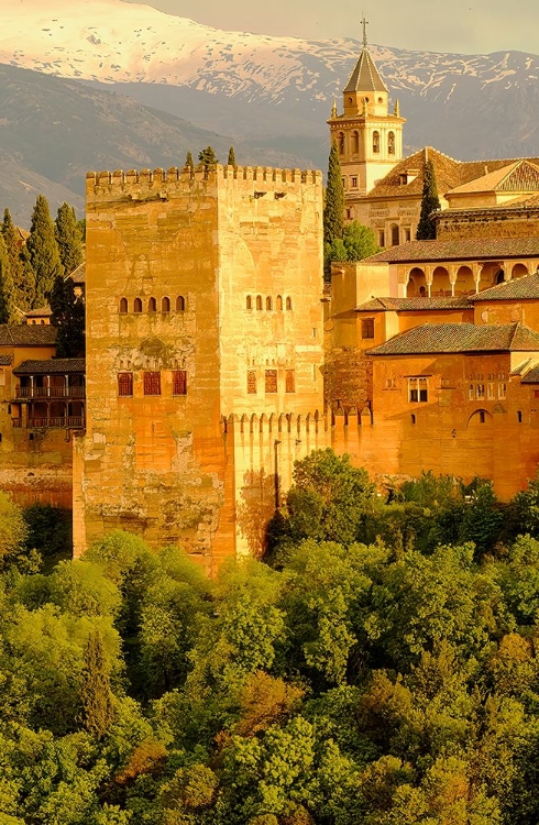 Picture of GRANADA-SPAIN-LA ALHAMBRA