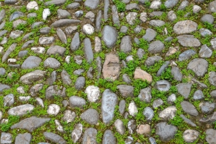 Picture of GRANADA-SPAIN. ANCIENT STONE WALKWAY WITH MOSS