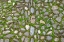 Picture of GRANADA-SPAIN. ANCIENT STONE WALKWAY WITH MOSS
