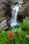 Picture of SWEDEN-NORRLAND-BJORKLIDEN. WATERFALL ALONG RAKKASJOHKA.