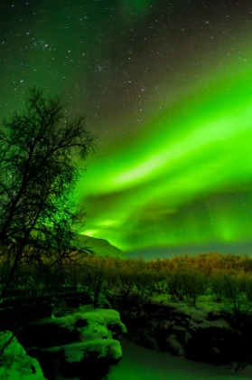 Picture of SWEDEN-NORRBOTTEN-ABISKO. AURORA BOREALIS (NORTHERN LIGHTS) OVER ABISKO CANYON.