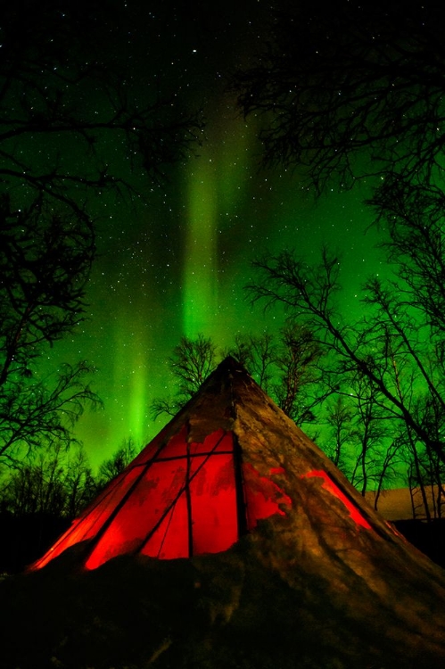 Picture of SWEDEN-NORRBOTTEN-ABISKO. AURORA BOREALIS (NORTHERN LIGHTS) OVER A TENTTIPI.