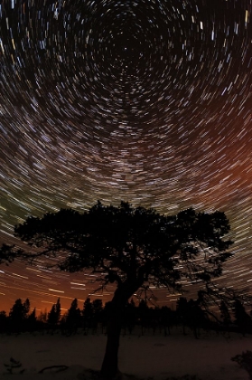 Picture of SWEDEN-NORRBOTTEN-ABISKO. WINTER NIGHT WITH STAR CIRCLES AND A HINT OF NORTHERN LIGHT.