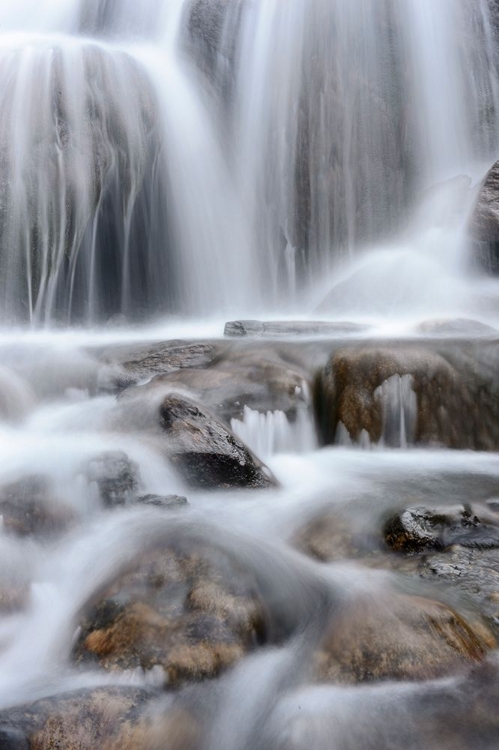 Picture of SWEDEN-NORRBOTTEN-ABISKO. WATERFALLS IN KARKEVAGGE.