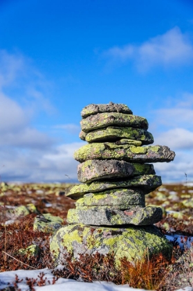 Picture of SWEDEN-DALARNA COUNTY-FULUFJALLET NATIONAL PARK. LICHEN COVERED ROCK CAIRN MARKING AN OLD TRAIL.