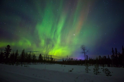 Picture of ABISKO-SWEDEN. CHASING THE NORTHERN LIGHTS (AURORA BOREALIS) IN SWEDISH LAPLAND.