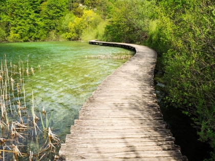 Picture of CROATIA-BOARDWALK IN PLITVICE LAKES NATIONAL PARK.
