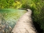 Picture of CROATIA-BOARDWALK IN PLITVICE LAKES NATIONAL PARK.