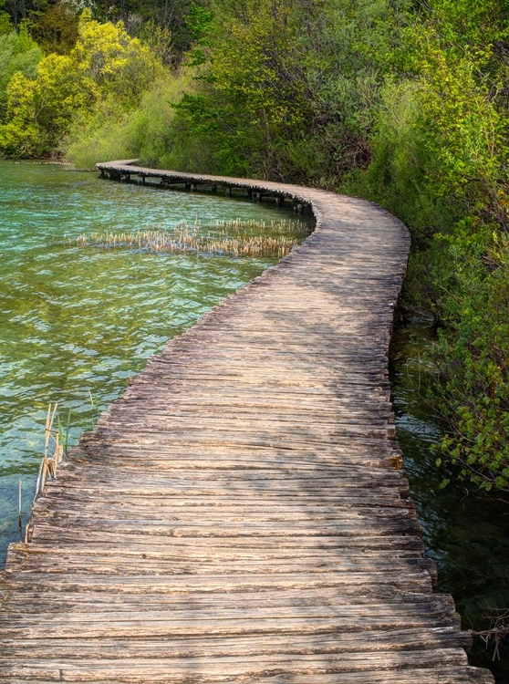 Picture of CROATIA-BOARDWALK IN PLITVICE LAKES NATIONAL PARK.